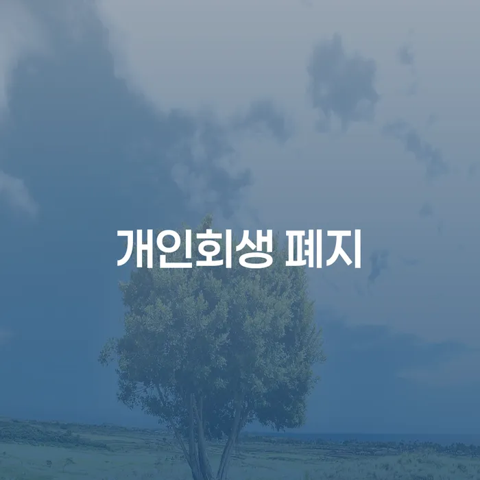 개인파산진술서 개인회생,개인파산으로 진행방안