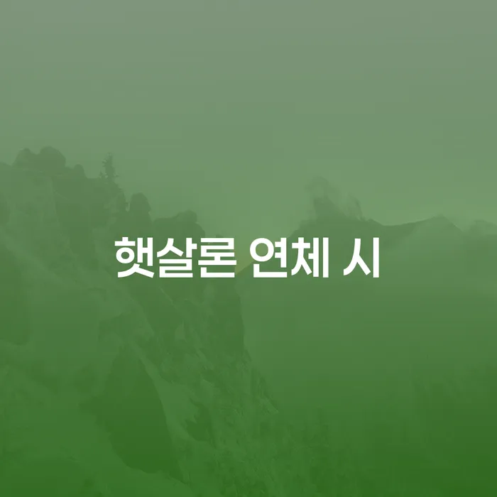 개인회생변호사 정직하고 카드빚 연체 지식을