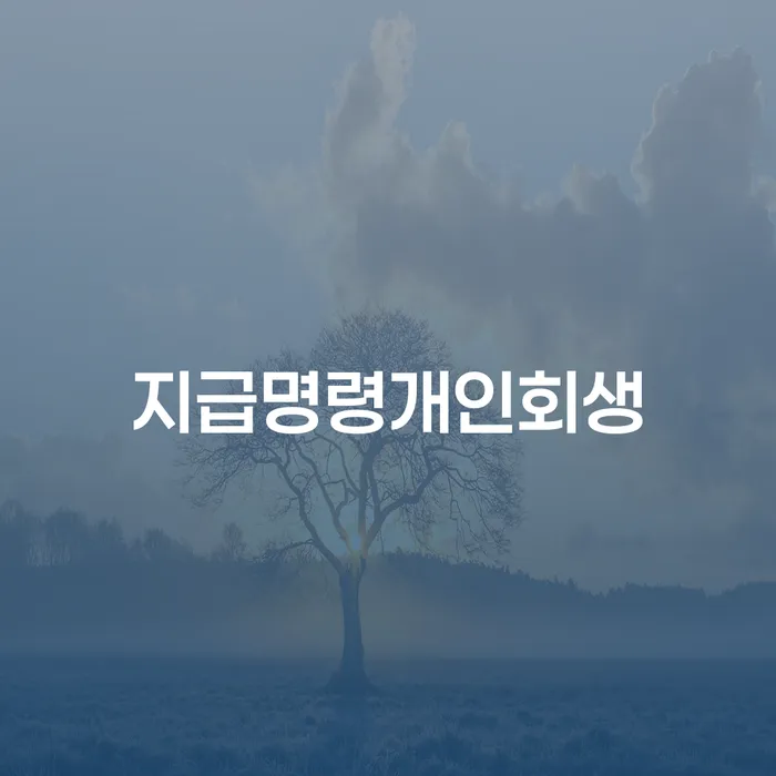 개인회생채권자 빚독촉 중요한정보
