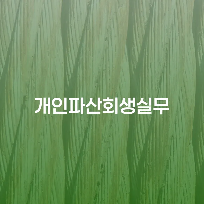 개인회생사무실 채무 효과적인 해결방법 성향에