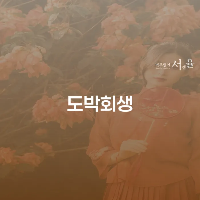 신용카드빚 대출 연체 개인회생 진행방안