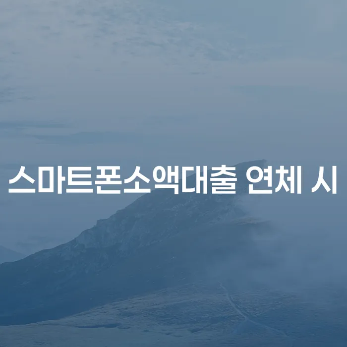 신용불량자자동차 개인파산 잘하는 법률사무소