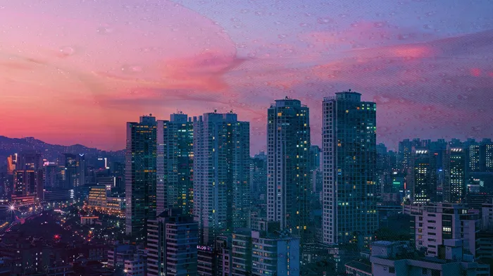 개인회생법무사