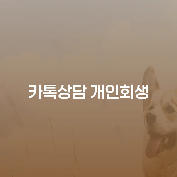 공주시 개인회생 신용회복 경험 많은 곳에서