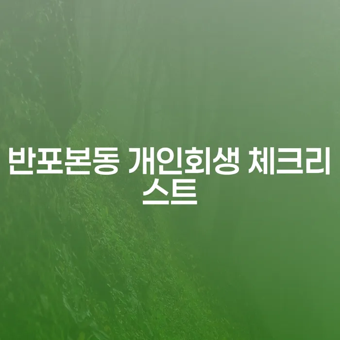 반포본동 개인회생 체크리스트