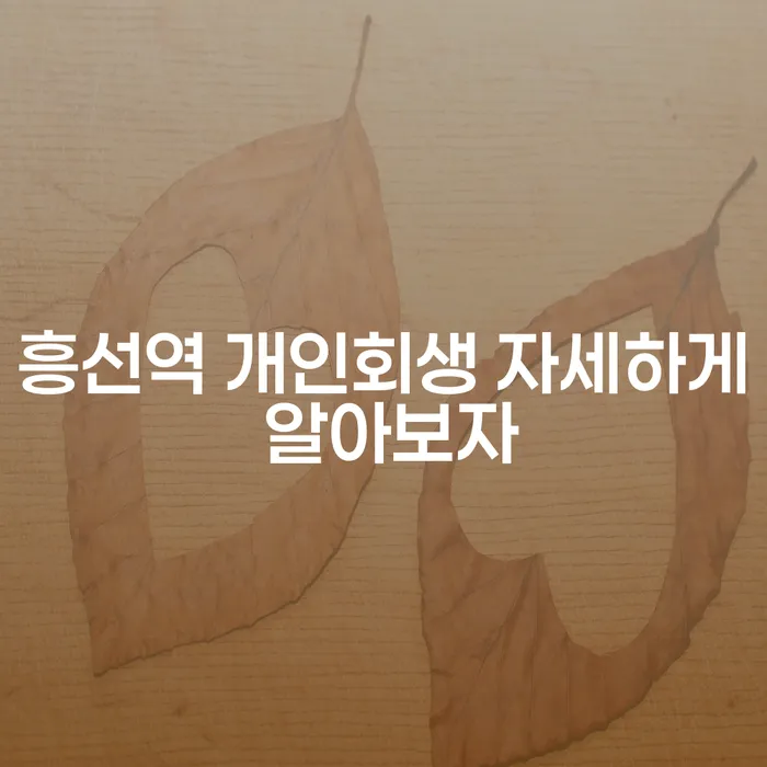 흥선역 개인회생 자세하게 알아보자
