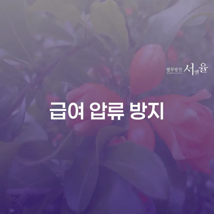 급여 압류 방지를 위한 현명한 선택, 개인회생과 개인파산 신청은 어떻게?