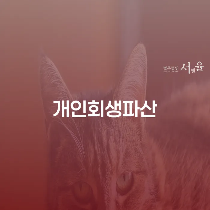 안동시 개인회생과 파산의 이해와 활용