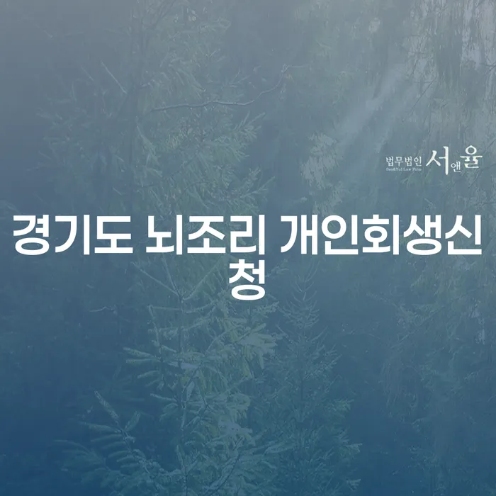 경기도 뇌조리 개인회생신청: 당신의 재정적 자유를 위한 첫걸음은?