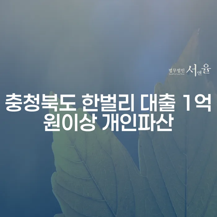 충청북도 한벌리에서 대출 1억원 이상, 개인파산과 개인회생을 배우자 모르게 신청할 수 있을까요?